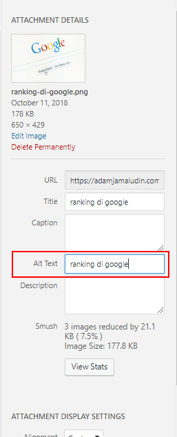 Cara Untuk Rankingkan Website di Google